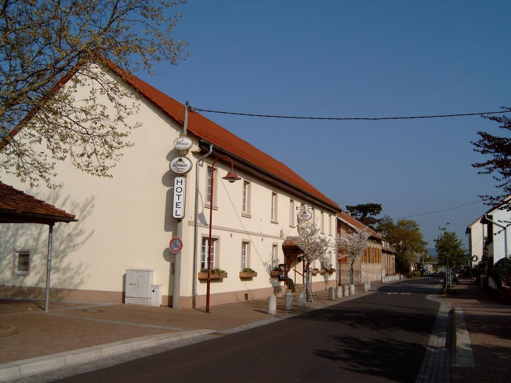 Garni Zum Adler Hotel Gensingen Bagian luar foto